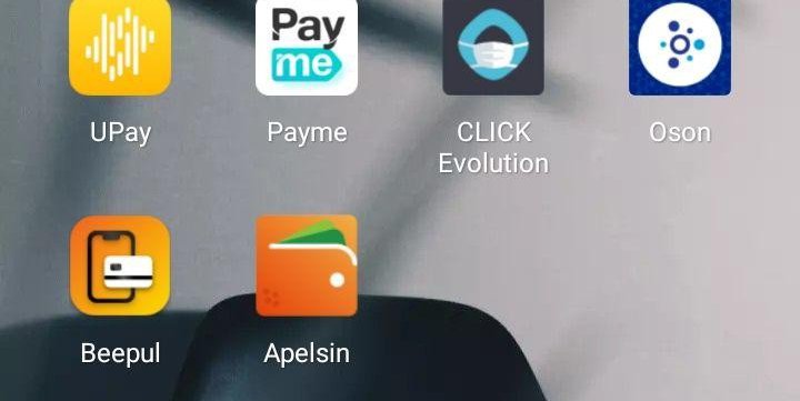 Payment Apps in Uzbekistan